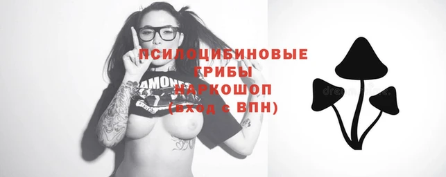 хмурый Карталы